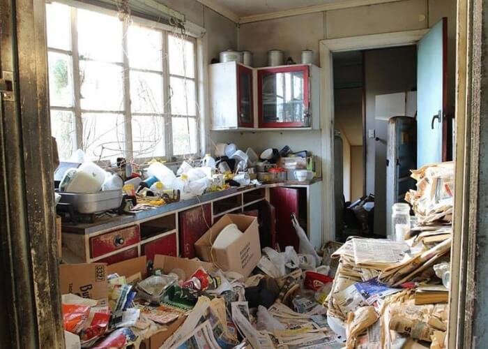 Hoarder Clean Out