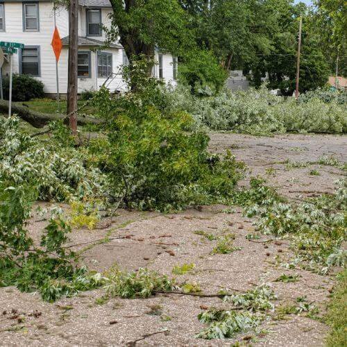 Storm Debris Cleanup JRS Junk Hauling
