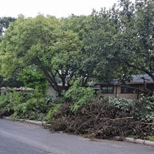 Yard Waste Tree Debris JRS Junk Hauling