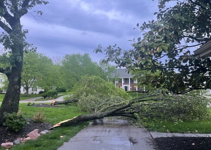 Brush storm removal