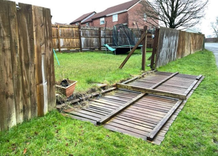 Damaged fences
