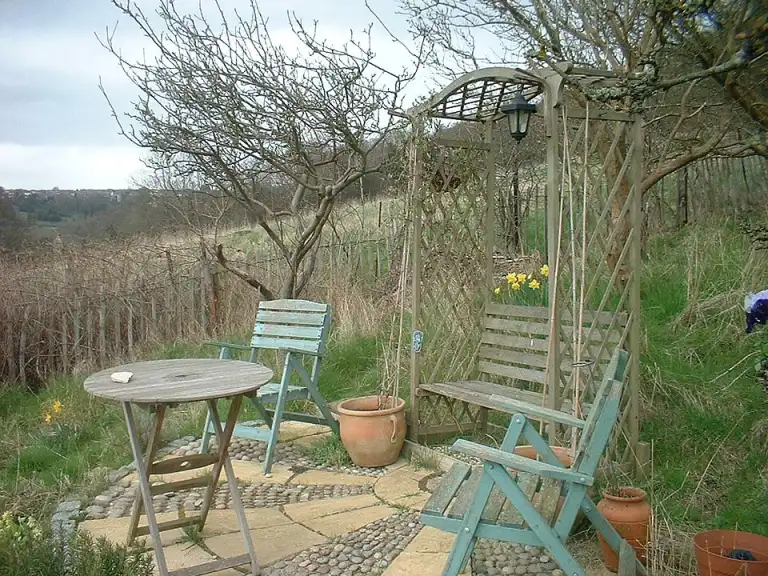 A wooden garden pergola with climbing vines